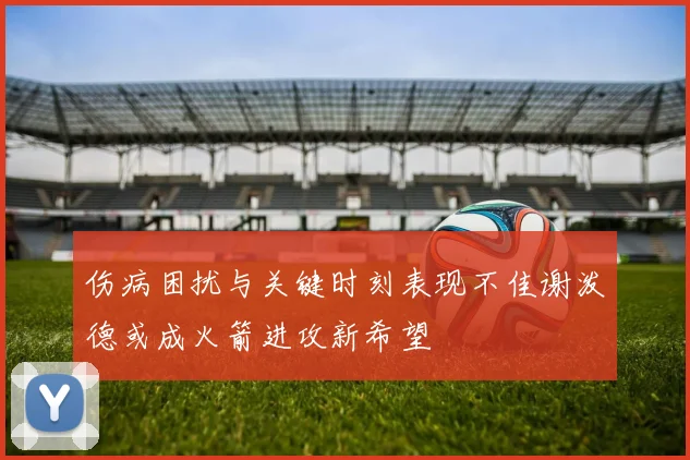 伤病困扰与关键时刻表现不佳谢泼德或成火箭进攻新希望