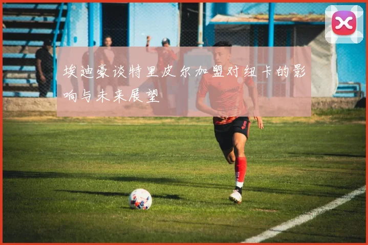 埃迪豪谈特里皮尔加盟对纽卡的影响与未来展望